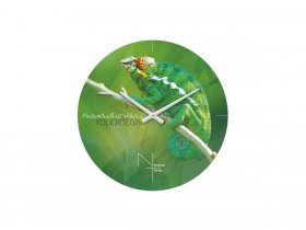 Часы настенные Nicole Time NT503 в Верх-Туле - verh-tula.mebel-nsk.ru | фото